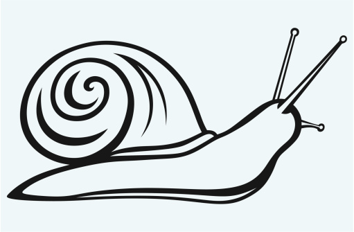 clipart gratuit escargot - photo #41