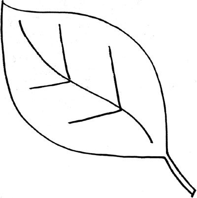 Green leaf clipart black and white