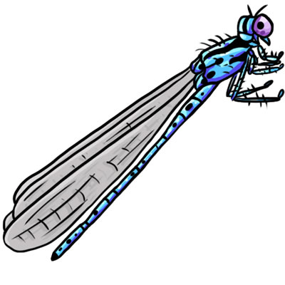 FREE Dragonfly Clip Art 15