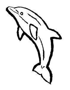 Free dolphin clipart black and white