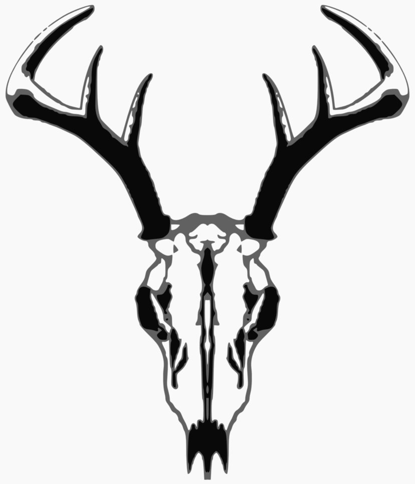 Deer Skull Drawing - Free Clipart Images