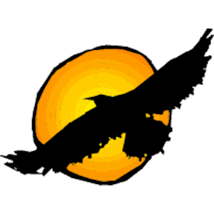 Hawk clip art download - Clipartix