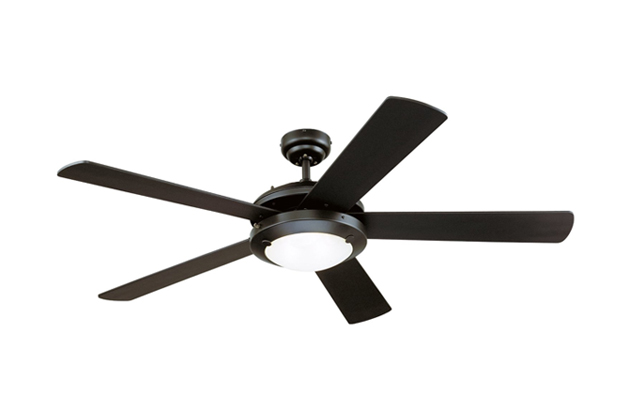 The Ceiling Fan I Always Get | The Sweethome