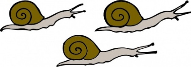 Snails clip art | Download free Vector