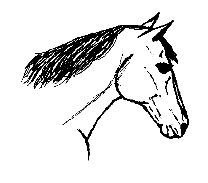 Draw Horse Head 6 Completed Line Art