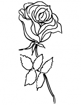 Rose Flower coloring page | Super Coloring