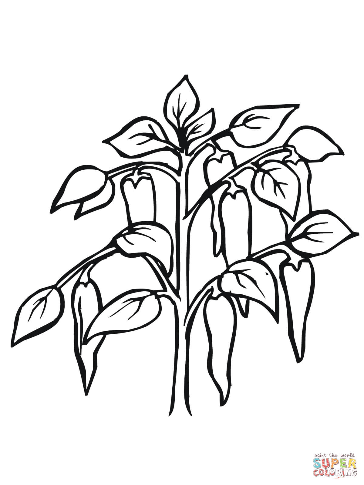 Printable Free Plant Coloring Pages