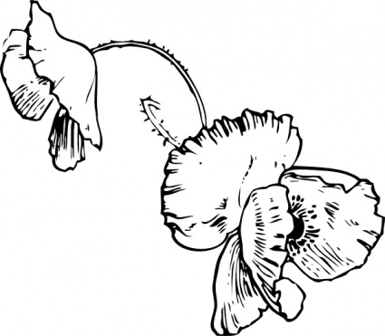 buttercup flower tattoo ideas buttercup flower tattoo ideas