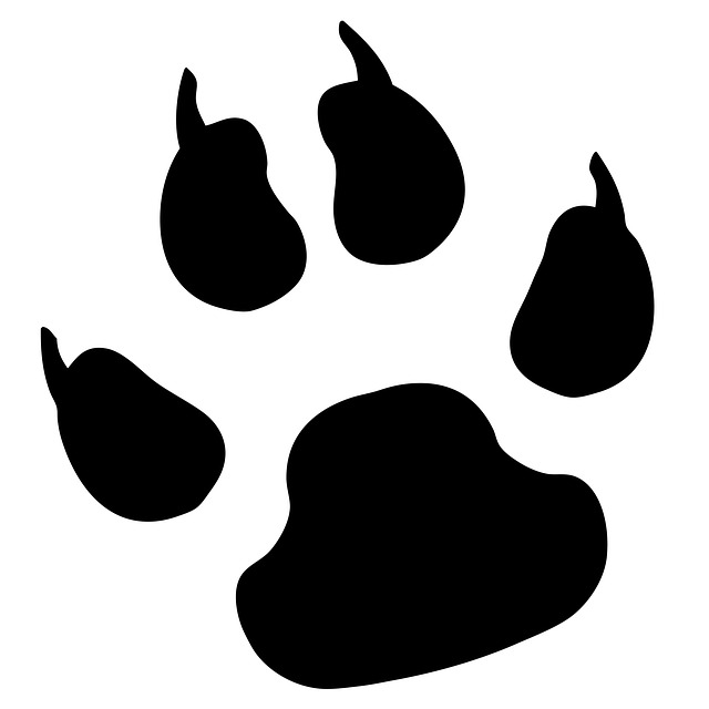 Bobcat footprint clipart