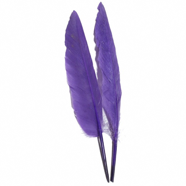 Duck Pointer Feather 5-7 inches, dyed any color (pack of 20 ...
