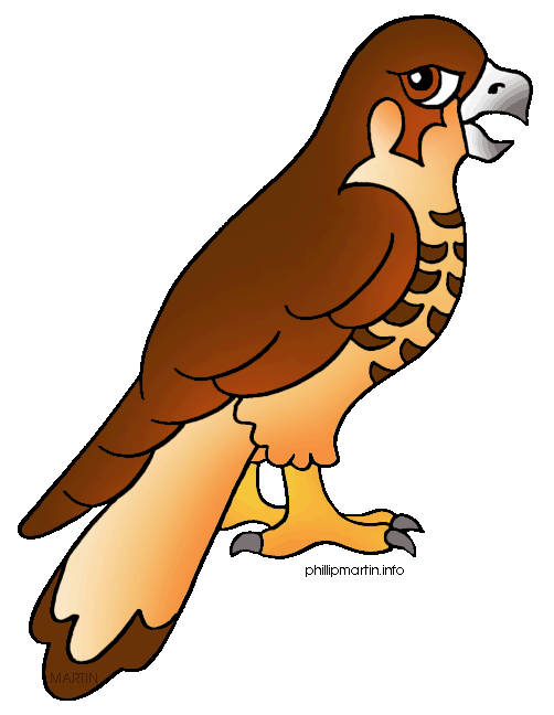 Hawk Clip Art - Free Clipart Images