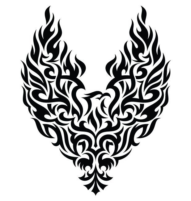 1000+ images about Phoenix tattoo