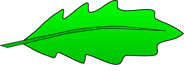 leaf line clip art - photo #33