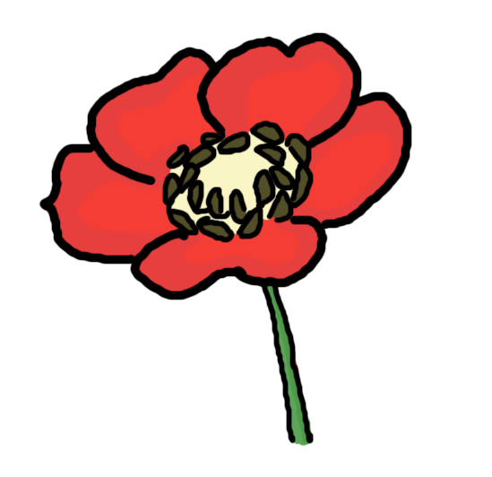 How to draw a Poppy Flower - ClipArt Best - ClipArt Best