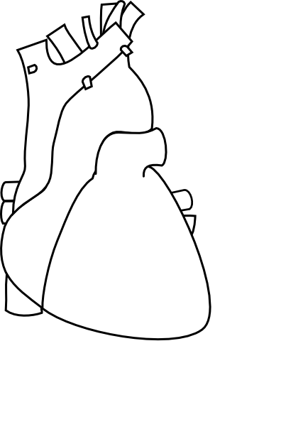 human heart clipart black and white - photo #22