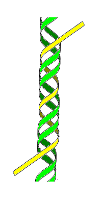 Triple-stranded DNA
