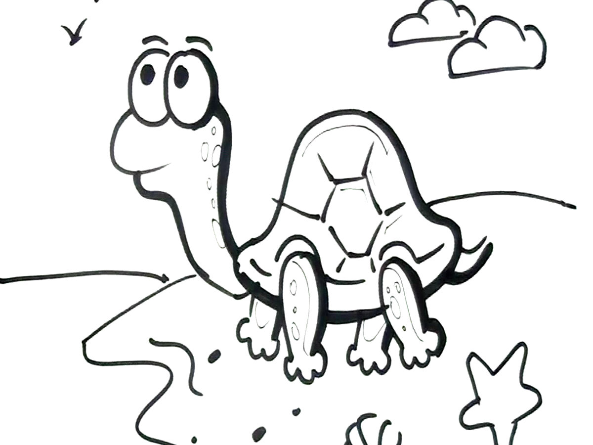 draw_a_turtle.jpg