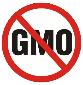 I say YES to a healthy diet and NO to GMOs » Geogypsy
