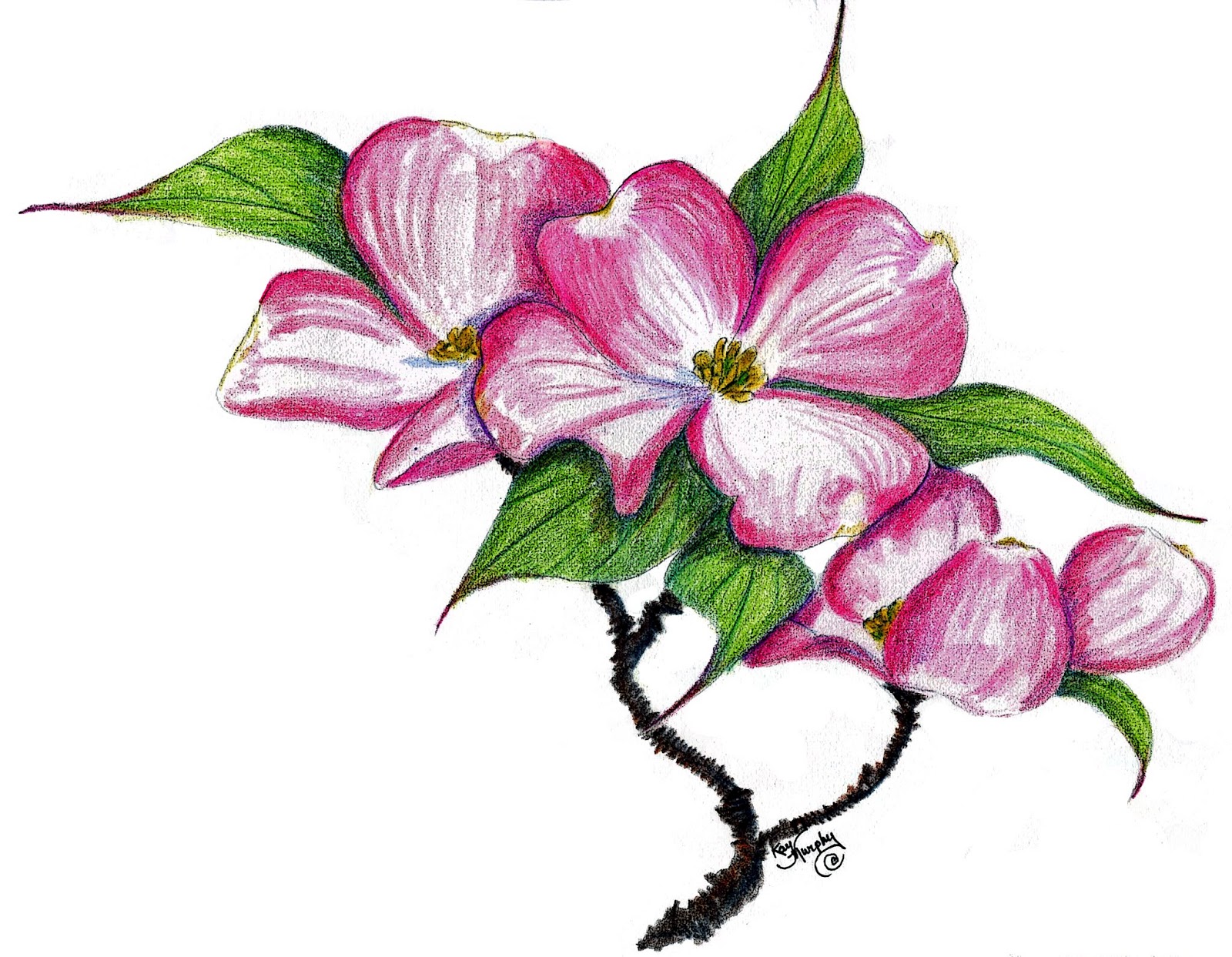 clip art dogwood tree - photo #1