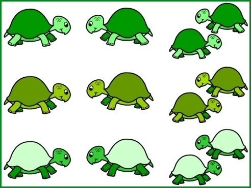 Turtle Shell Template