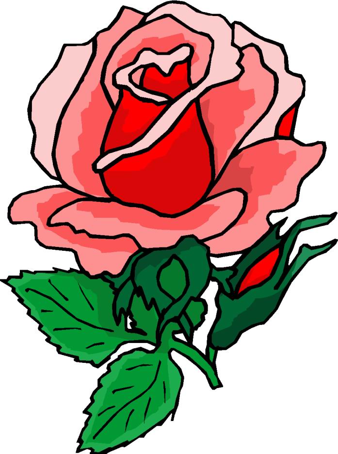 clip art white rose bud - photo #37