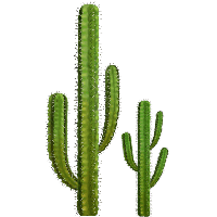 Download Cactus Free PNG photo images and clipart | FreePNGImg