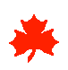 Canada clip art and free clip art of a red maple leaves and a ...