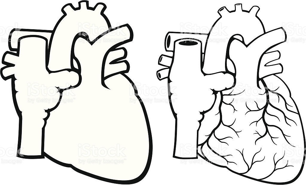 Clipart black and white heart in body