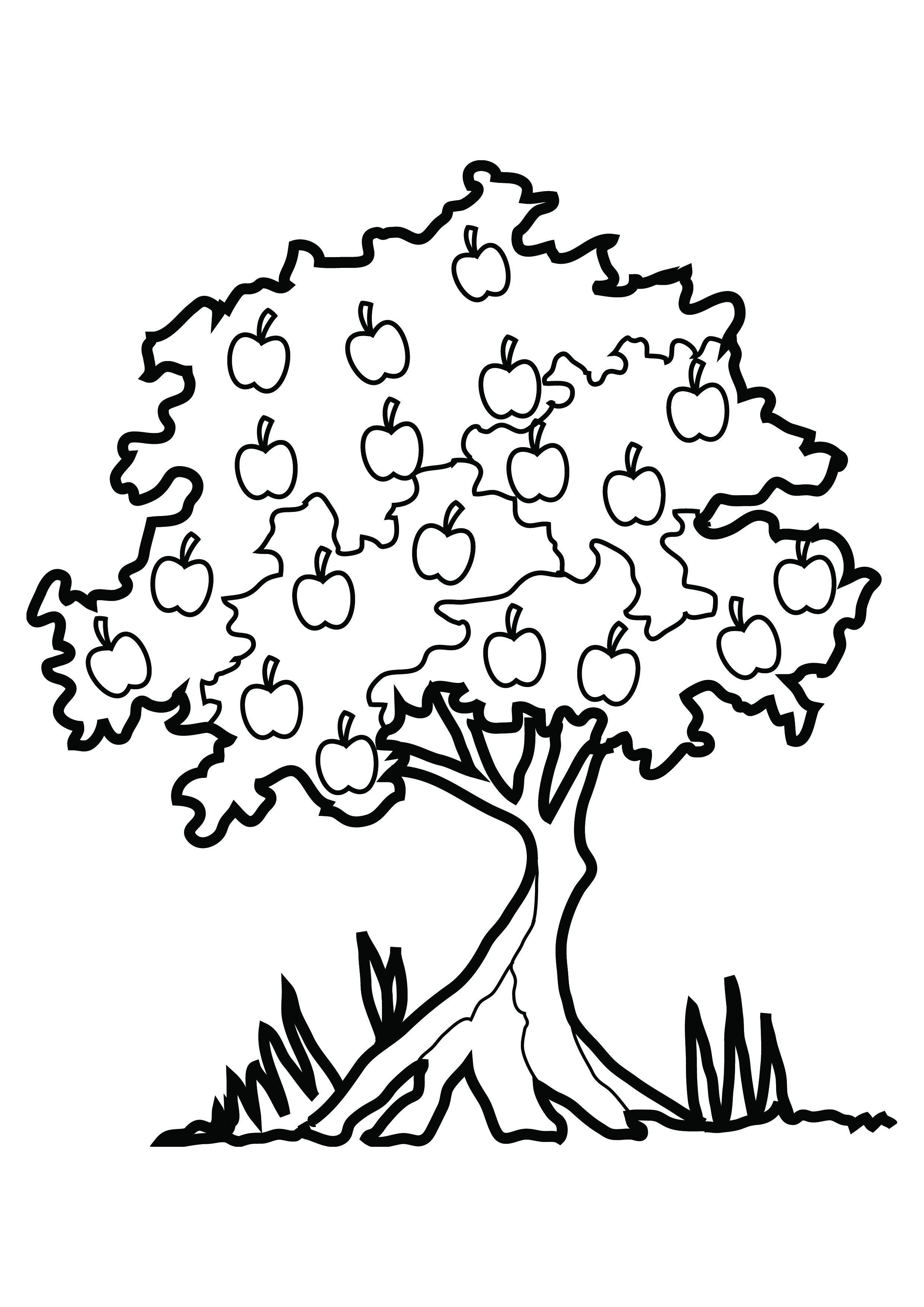 Apple Tree Drawing