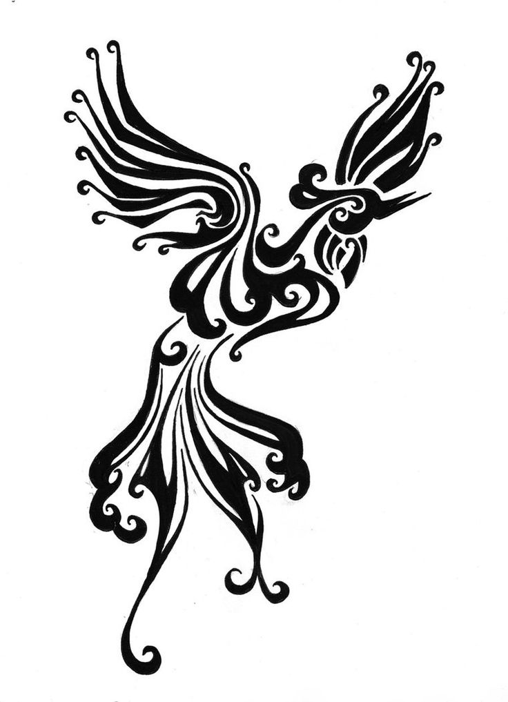 489 views Phoenix Drawing | Phoenix Tattoos ...