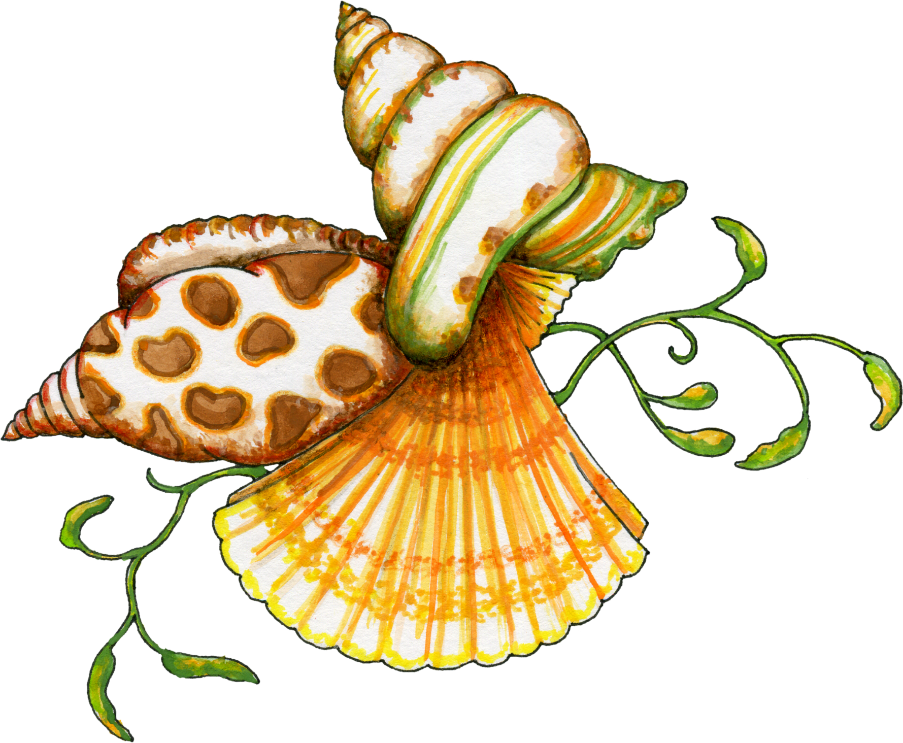 Sea Shells Clip Art - Tumundografico