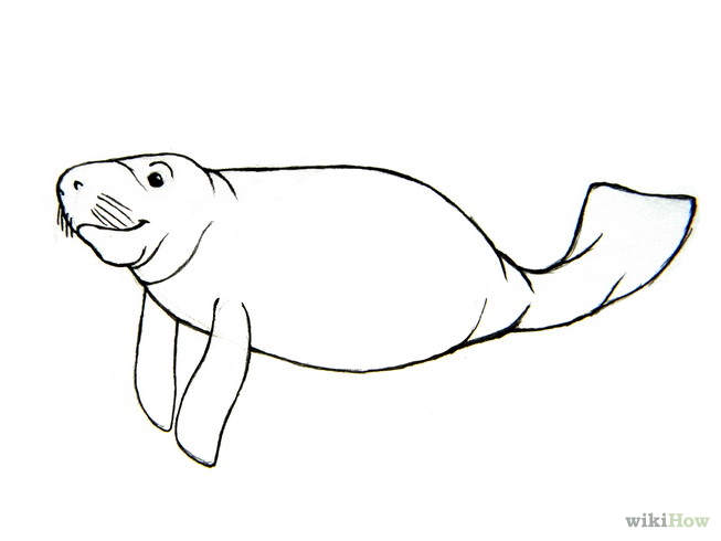 Manatee Clipart - Cliparts and Others Art Inspiration