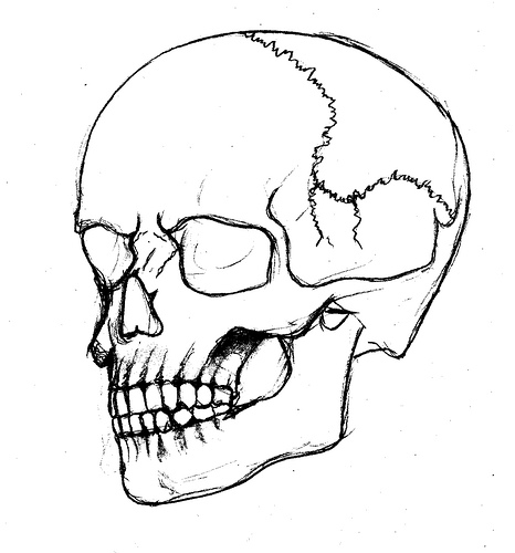 Best Photos of Skull Outline Template - Sugar Skull Felt Pattern ...