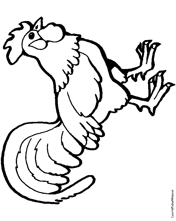 Rooster Coloring Pages | Coloring Pages For Kids