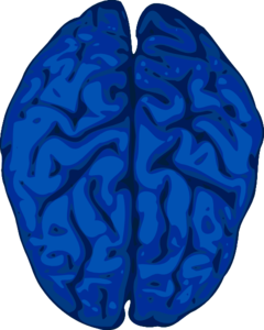 blue-brain-md.png