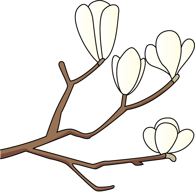 clipart of magnolia tree - photo #36