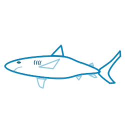 Drawing a cartoon shark - ClipArt Best - ClipArt Best