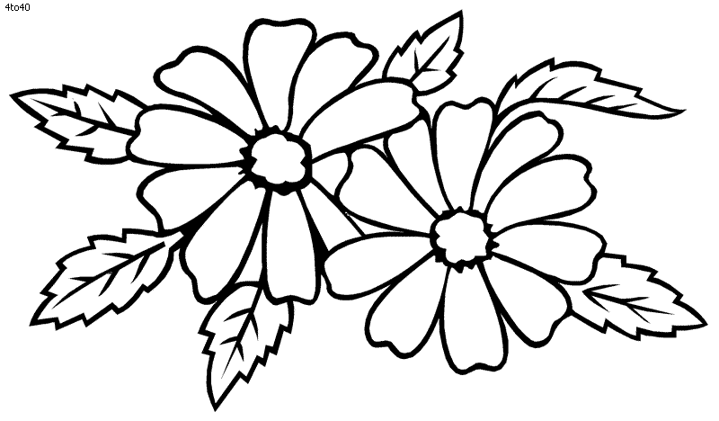 clipart flower coloring page - photo #46