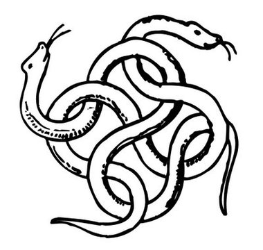 Snake Outline Clipart - Free to use Clip Art Resource