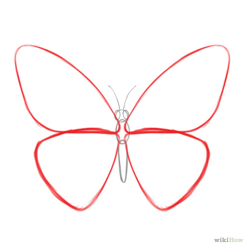 How to Draw a Butterfly: 14 Steps (with Pictures) - wikiHow