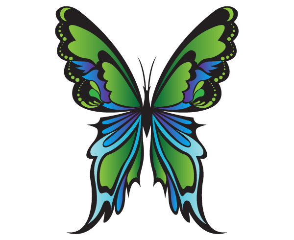 Free Green Butterfly Vector Image | Download Free Vector Art ...