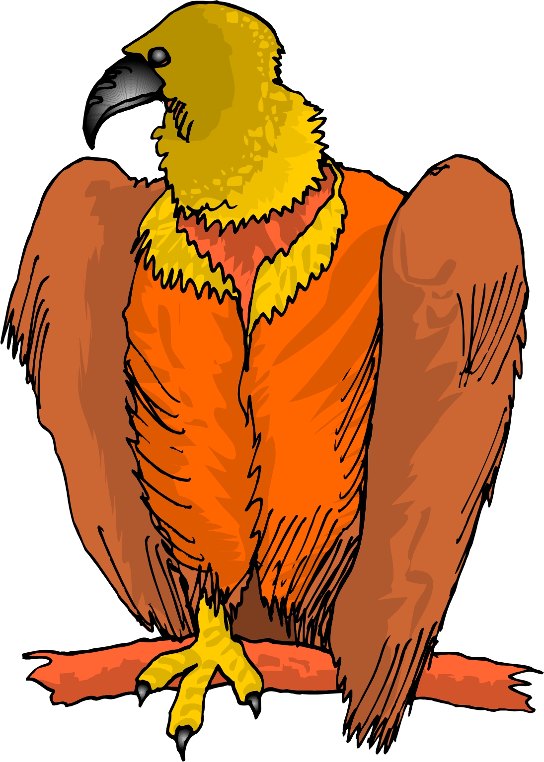 vulture clipart | Hostted