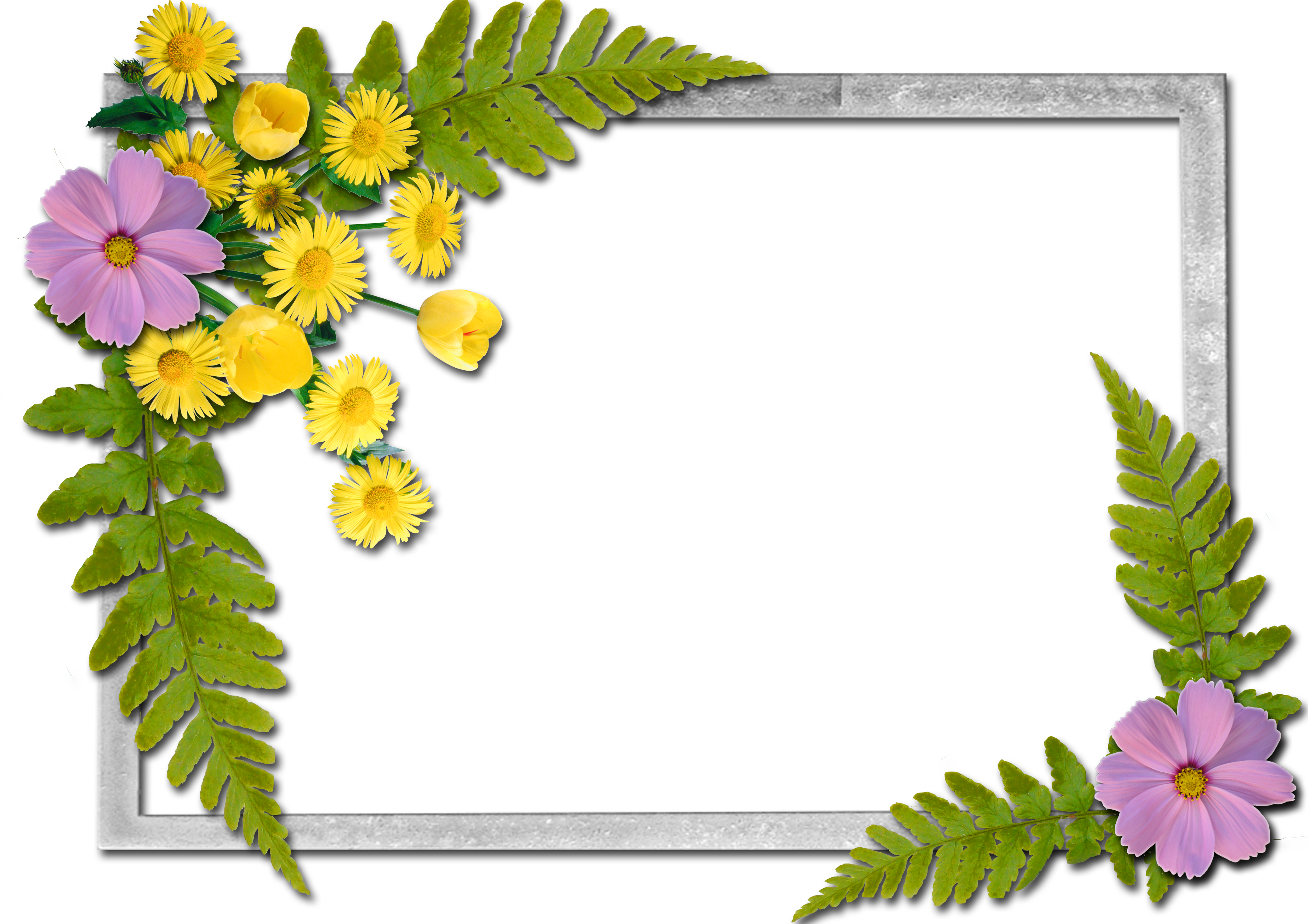 Flowers_frame (15).png?m=1345158000