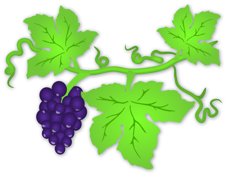 Grape leaf clipart
