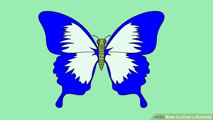 2 Ways to Draw a Butterfly Step-by-Step - wikiHow