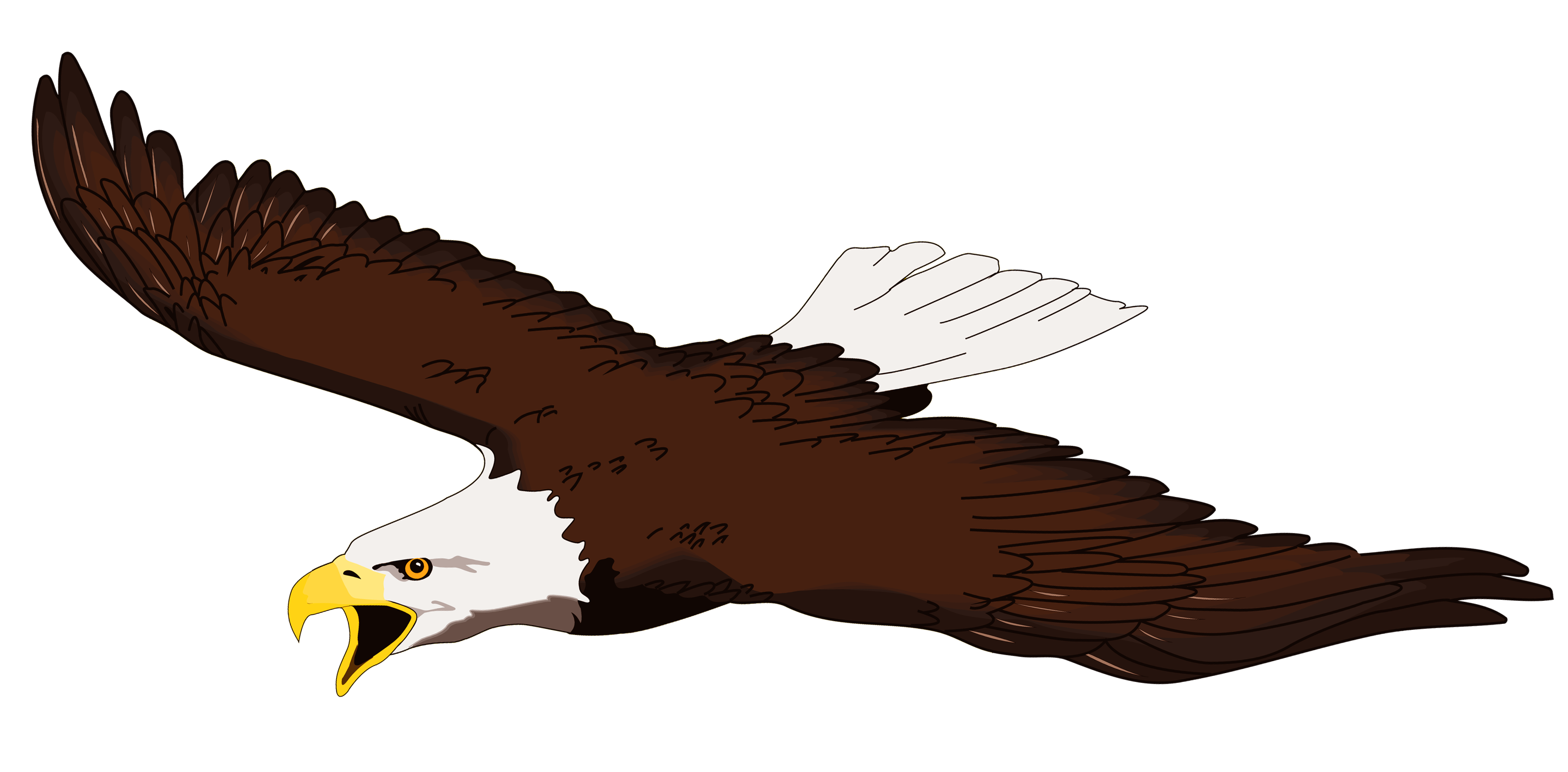 Flying bald eagle clipart