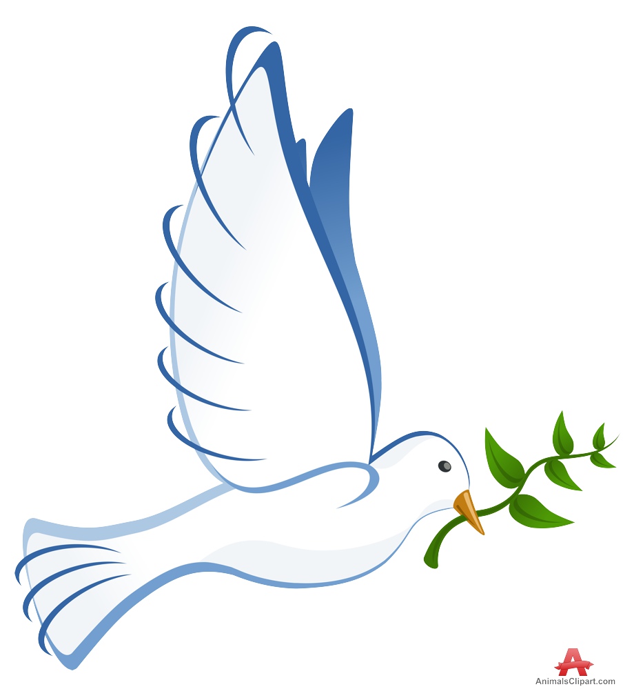 Dove with olive branch clipart images