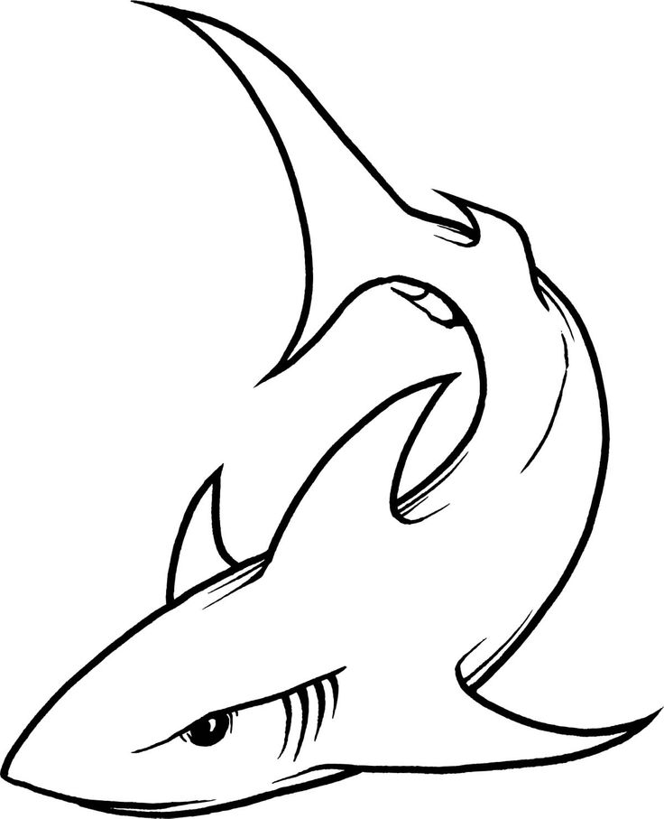 Clipart shark black and white