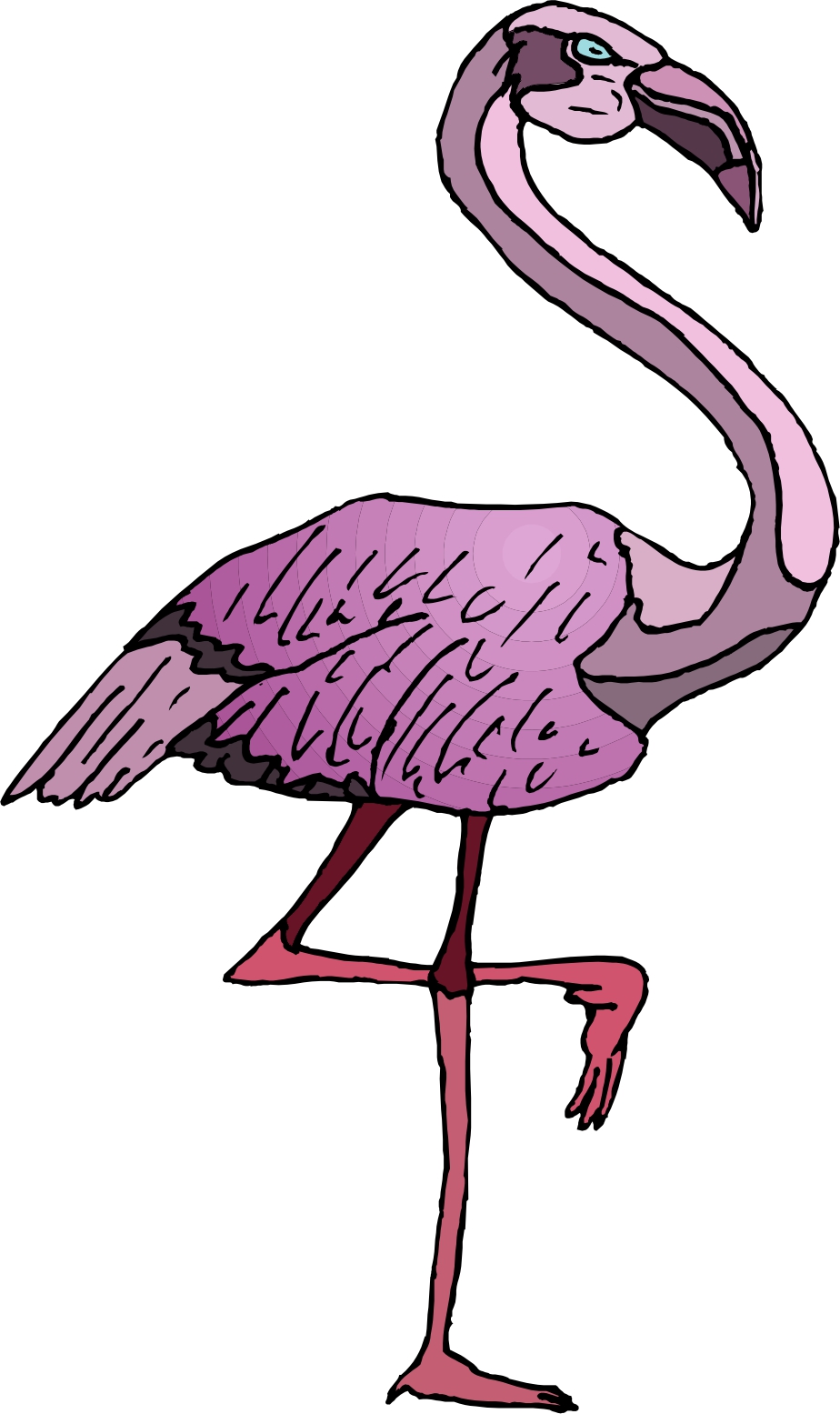 hagen flamingo cartoon hagen flamingo cartoon
