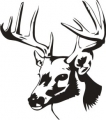 Deer Decals, Deer Stickers, Hiunting Decals, Hunting Stickers ...